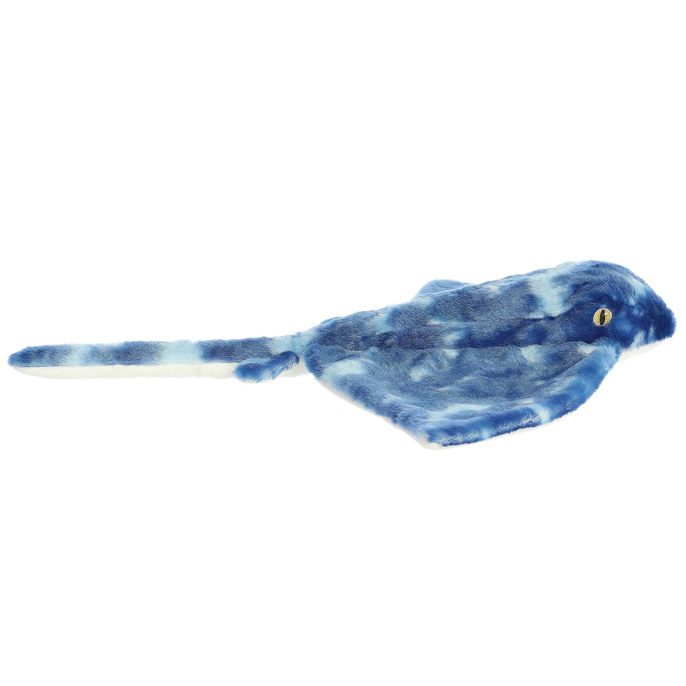 Aquatic | Aurora® - Destination Nation - 19" Stingray - Blue