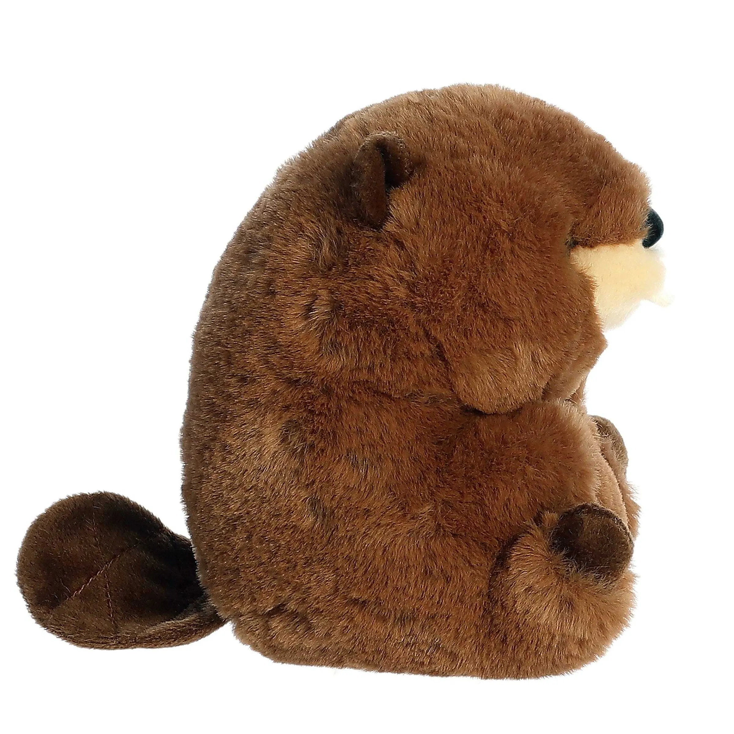 Rolly Pet | Aurora® - Rolly Pet - 5" Beethoven Beaver