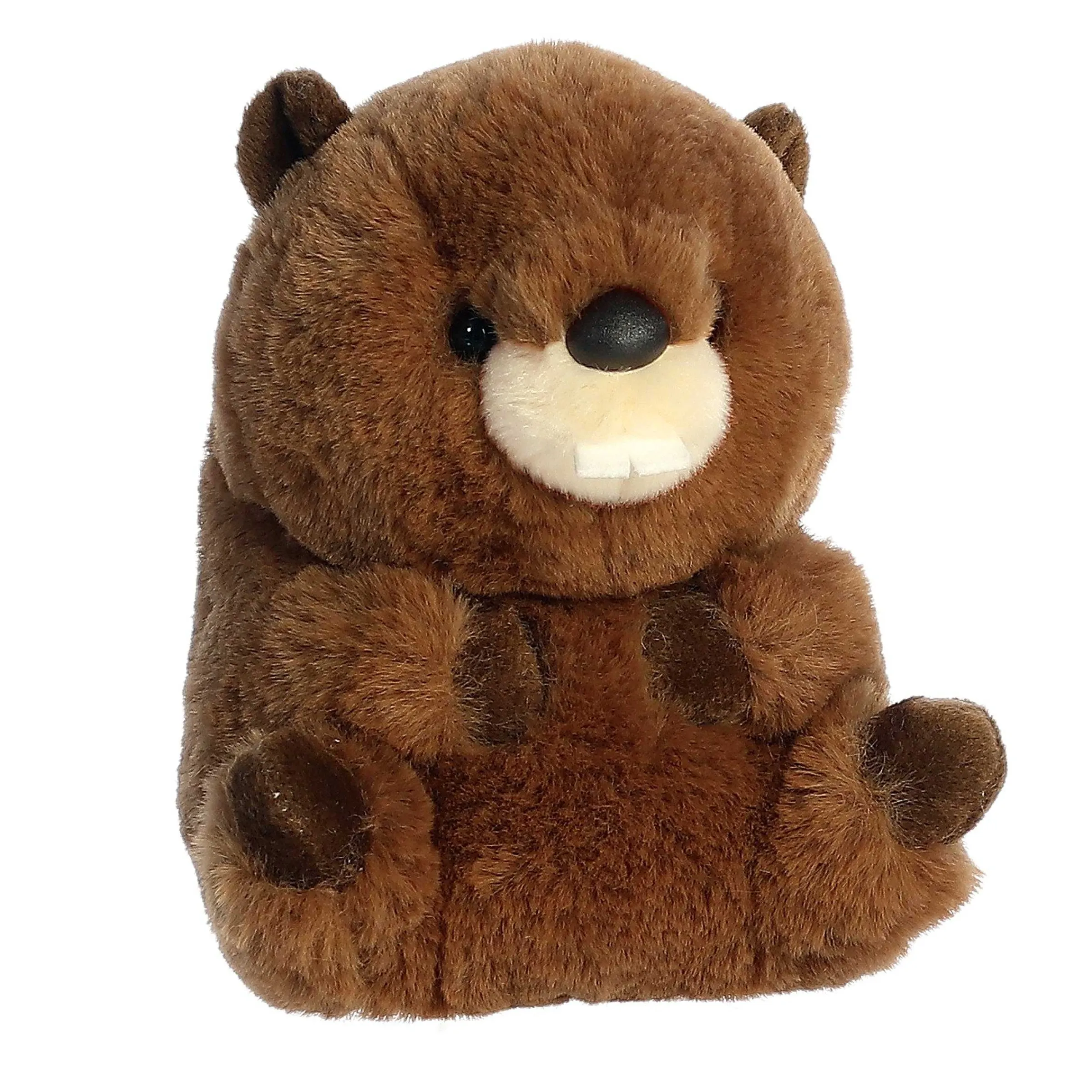 Rolly Pet | Aurora® - Rolly Pet - 5" Beethoven Beaver
