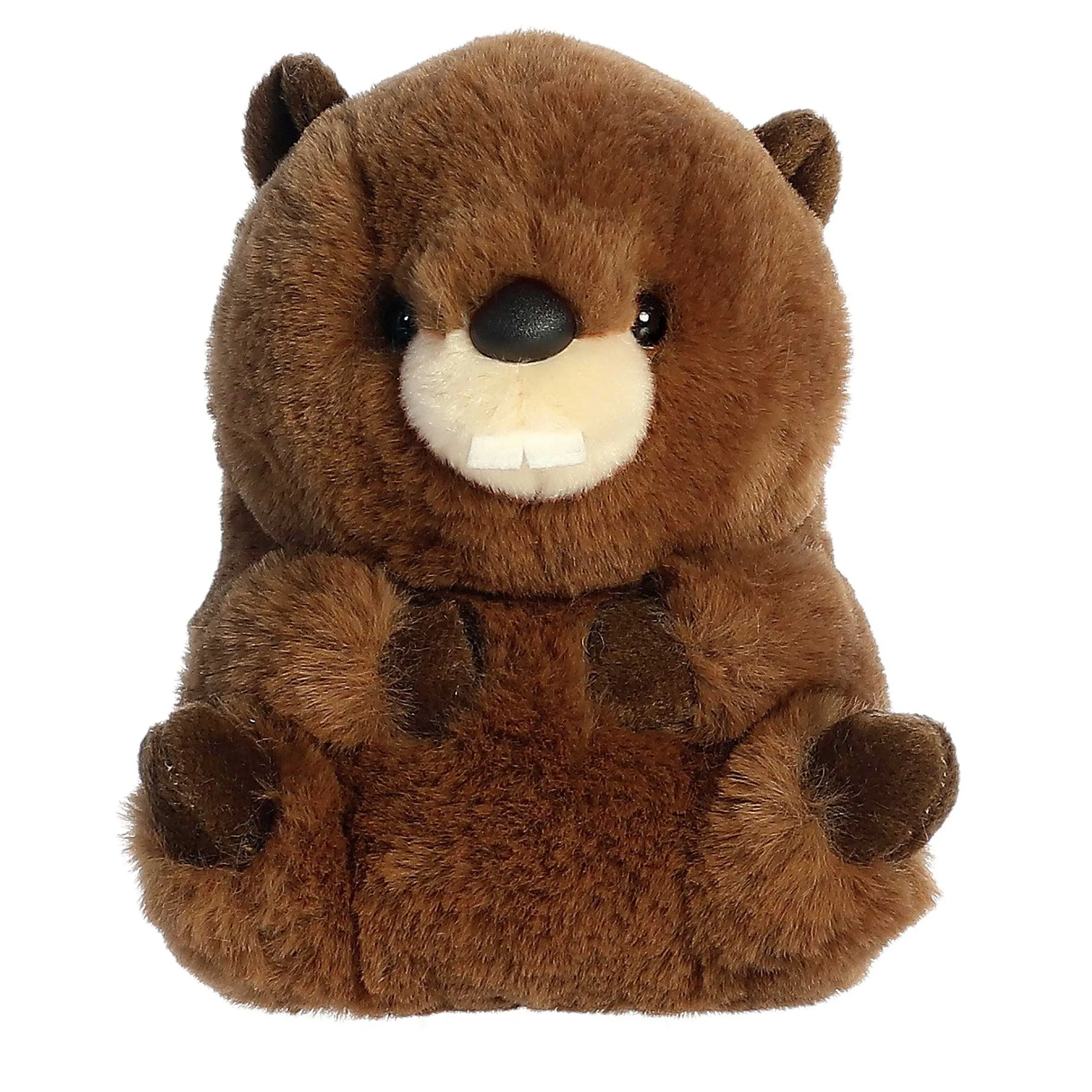 Rolly Pet | Aurora® - Rolly Pet - 5" Beethoven Beaver