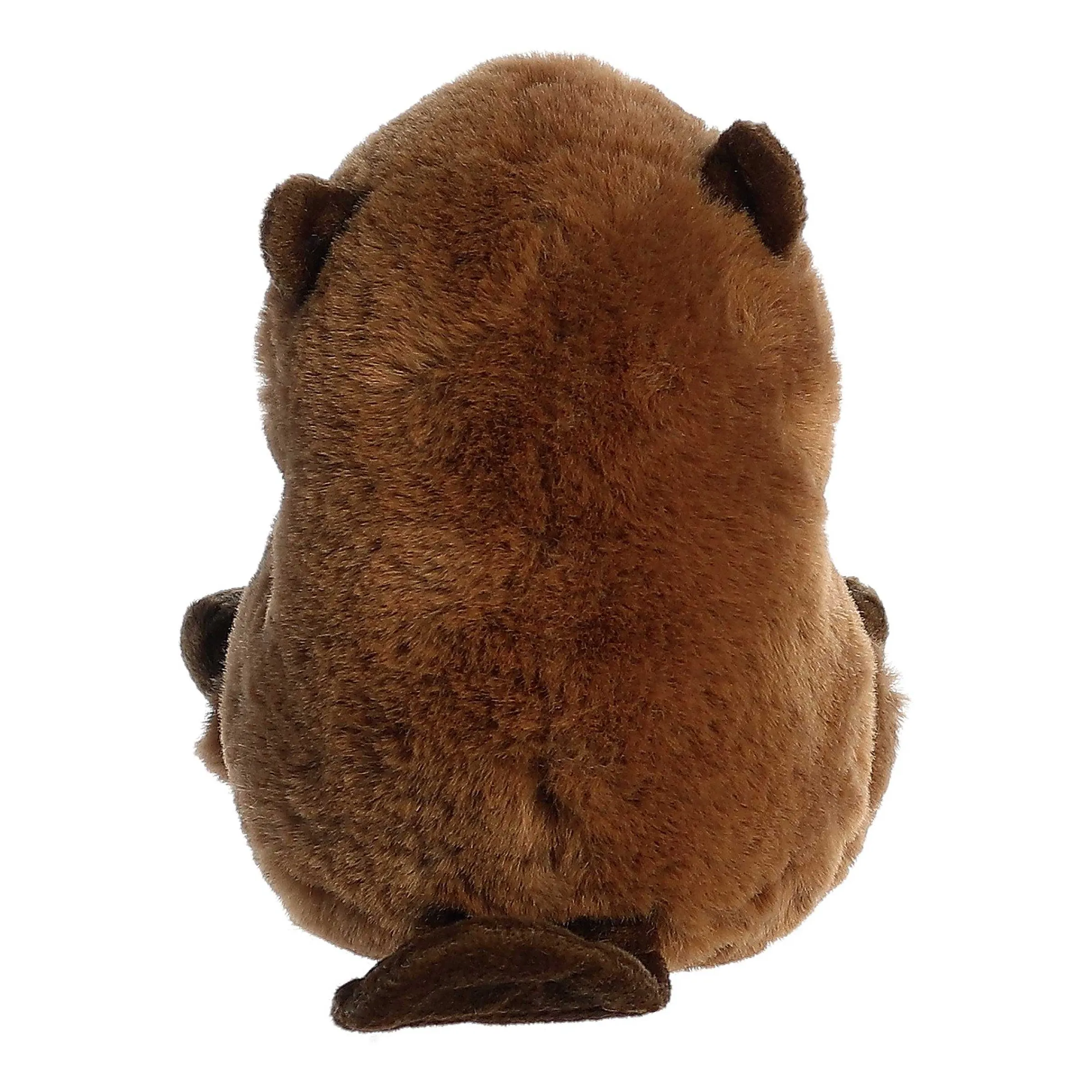 Rolly Pet | Aurora® - Rolly Pet - 5" Beethoven Beaver